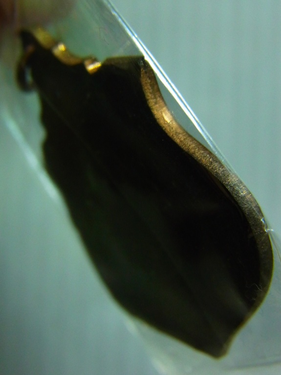 เหรียญ รัชกาลที่ 5 รุ่นนายร้อย จปร.72 สร้าง ปี 17 เนื้อนวะโลหะ พร้อมบัตรรับรอง