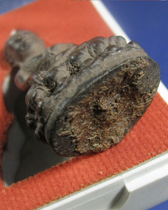 พระกริ่งชินบัญชรล้านนา ไจยะเบงชร  เนื้อนวะก้นอุดผง