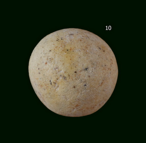 ลูกอม เนื้อผงยาจินดามณี วัดไผ่ล้อม // หลวงปู่ทิม วัดระหารไร่ จ.ระยอง ปลุกเสก ปี 14(3)