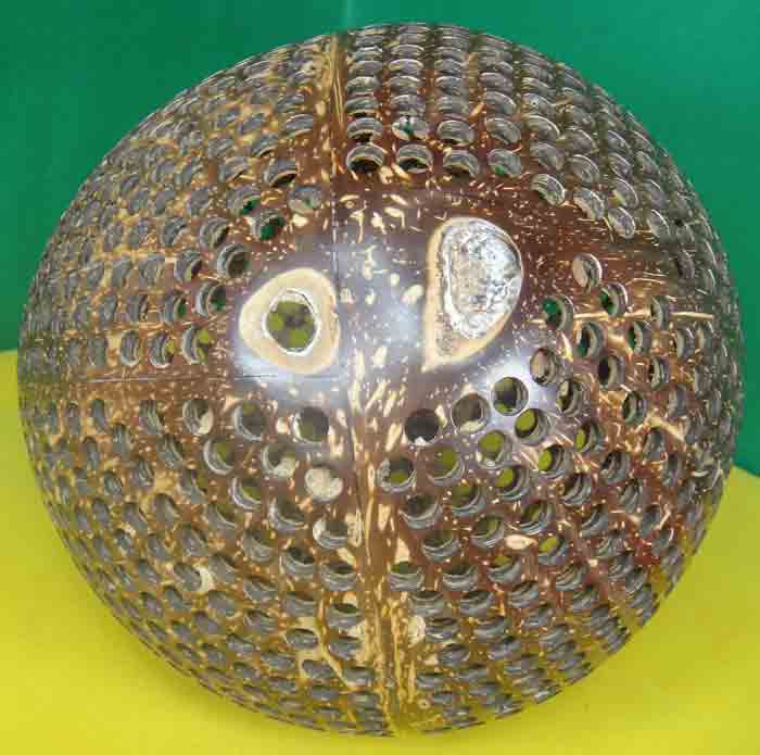 (((วัดใจเคาะเดียวแดง)))สร้อยผสมเม็ดกะลาตาเดียว+หัวกลางรูปขุนไม้ ความยาว ๒๖ นิ้ว แบบ ๓ ห่วง ๑ เส้น