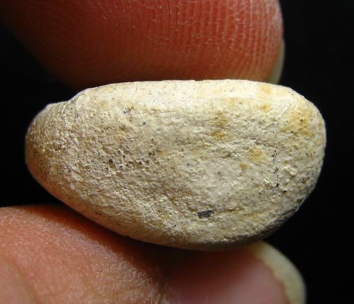 พระผง เนื้อหามวลสารดี สวยไม่ทราบที่ครับ