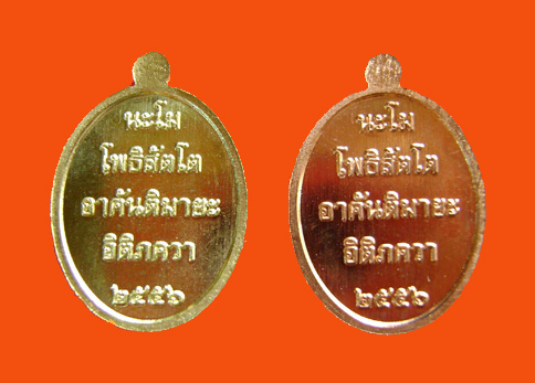 3 หลวงพ่อทวดเม็ดแตงรุ่น1 พุทธอุทยานมหาราช  เนื้อทองทิพย์ + เนื้อทองแดง