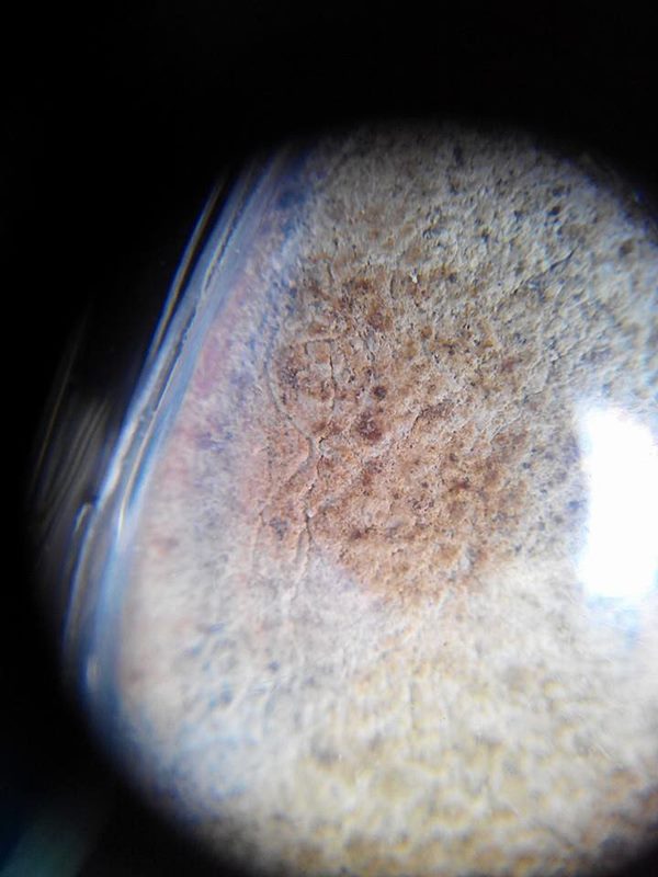 เคาะเดียวไปเลย...พระเนื้อผงผสมว่าน108 พิมพ์กลีบบัวหลวงพ่อสงฆ์ รุ่นมุ่ยจิง ปี 17