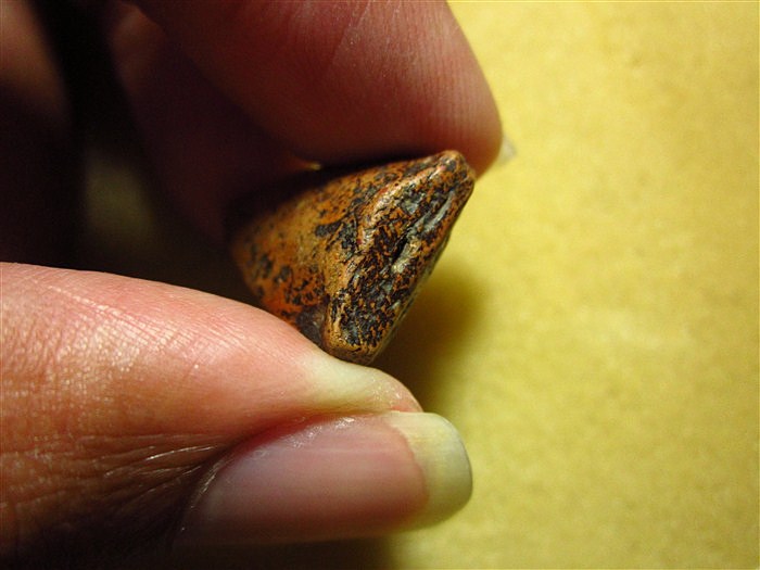 พระกรุวัดตะไกรหน้าครุฑ อยุธยา