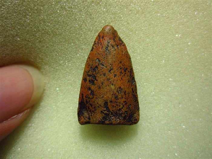 พระกรุวัดตะไกรหน้าครุฑ อยุธยา