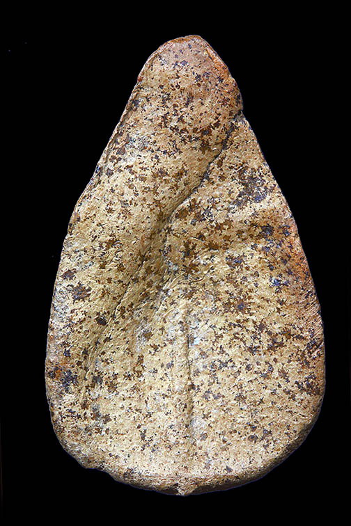 พระกลีบบัวเนื้อดินกรุวัดลิงขบ