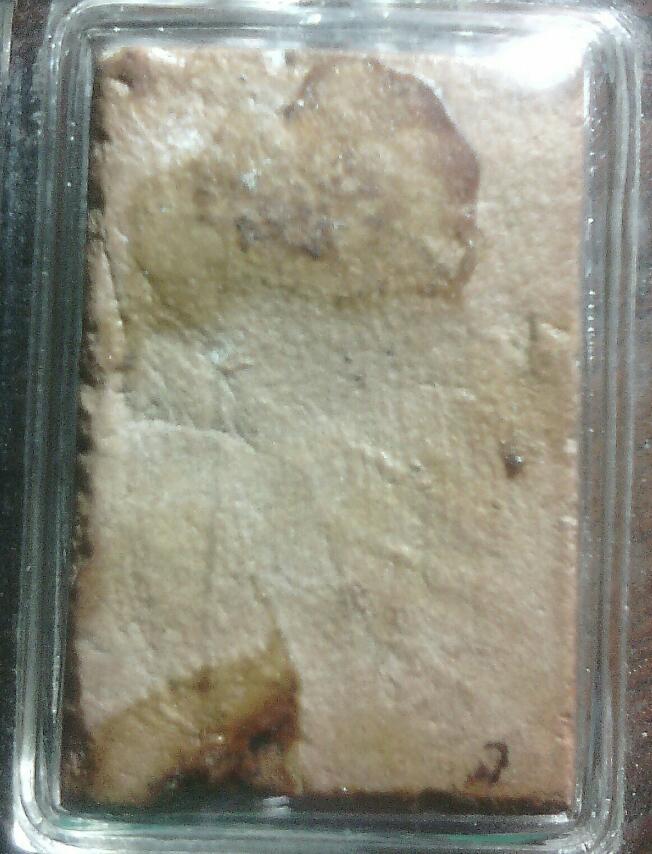 หลวงพ่อผาด วัดดงตาล พิมพ์ขี่เสือ