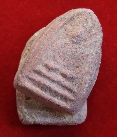 พระกลีบบัว กรุวัดเจ้ามูล ล.ป.ศุข ปลุกเสก พิเศษ 2 องค์ติดกัน สภาพสวย คลาสสิค คงหาแบบนี้ยากครับ