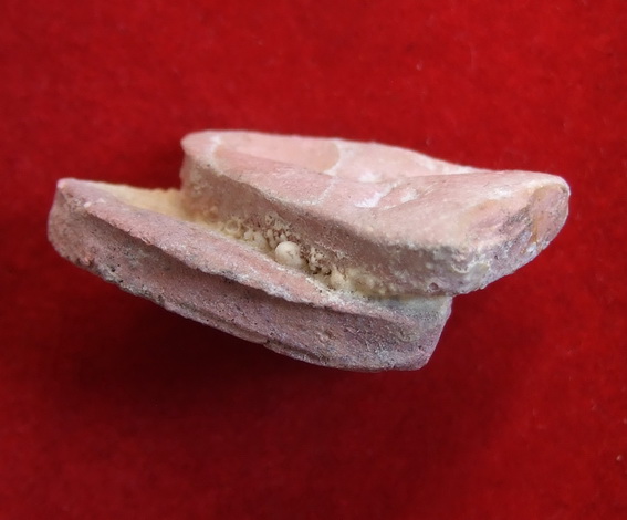 พระกลีบบัว กรุวัดเจ้ามูล ล.ป.ศุข ปลุกเสก พิเศษ 2 องค์ติดกัน สภาพสวย คลาสสิค คงหาแบบนี้ยากครับ