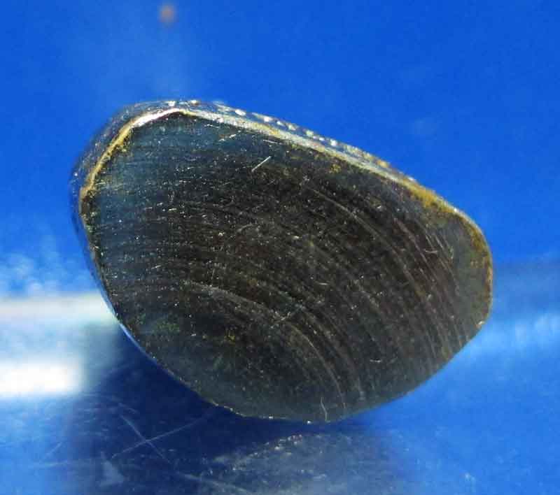 รูปหล่อหลวงพ่อเงิน   วัดท้ายน้ำ พิมพ์ฐานสูง เนื้อทองเหลืองชุบนิเกิ้ล ปี 2515