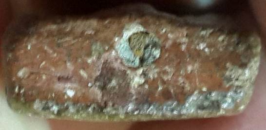 พระพิมพ์ทรงสิงห์หลวงพ่อผาด เนื้อดิน วัดดงตาล จ.ลพบุรี เนื้อมะขามเปียก ดูง่าย