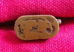 หมูมหาลาภ หลวงพ่อเปิ่น วัดบางพระ