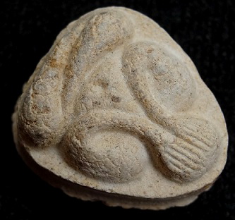 พระปิดตามหาเสน่ห์ หลังยันต์พุทโธ เนื้อเกสรนวลๆ