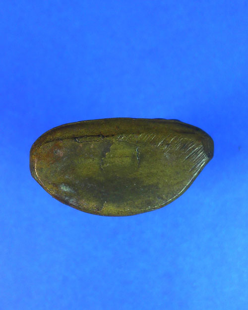 พระปั๊มรูปเหมือนหลวงพ่อเงิน บางคลาน จ.พิจิตร ปี ๒๕๑๕ (วัดบึงนาราง) พิธีปลุกเสกฯ