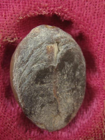 เบี้ยแก้ หลวงพ่อเกษม ปี38 จ.ลำปาง กล่อง เดิม ...4A