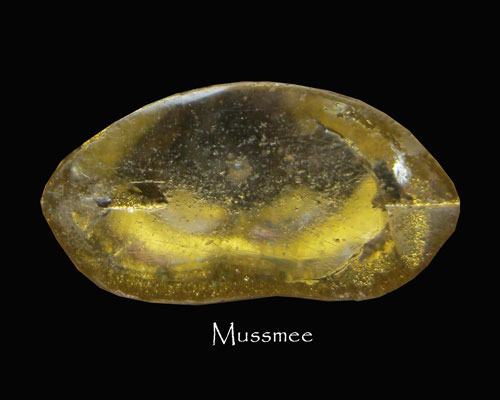 พระแก้ว หลวงพ่อเจียง วัดเจริญสุขาราม รุ่น 2 เนื้อขาวใน พระสวยยยยยยยยยยยยยยย 