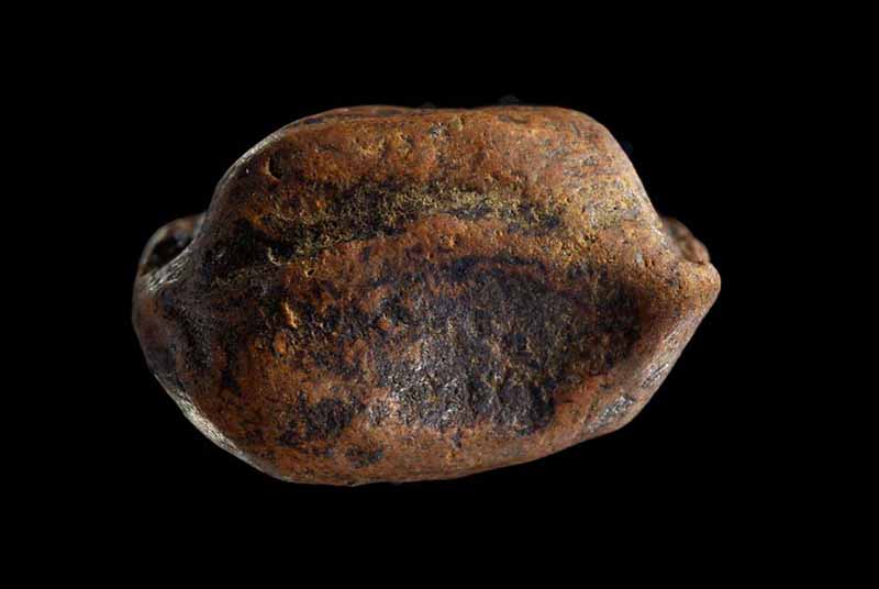 วัดใจ พระคง เนื้อแดง (เคาะเดียวครับ)