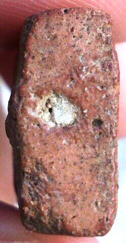 พระเนื้อดิน หลวงพ่อผาด วัดดงตาล พิมพ์ขี่เสือ