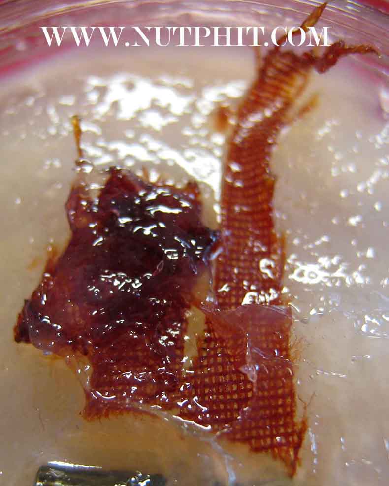 126*สีผึ้งมหาเมตตาผสมเทียนชัย ตะกรุดเงิน-ทอง-พร้อมจีวรของหลวงพ่อเกษม เขมโก ลำปาง*