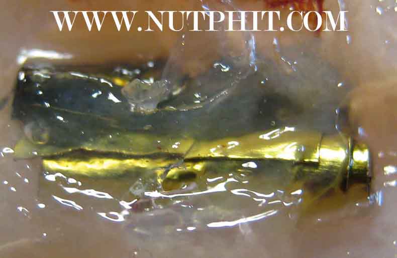 126*สีผึ้งมหาเมตตาผสมเทียนชัย ตะกรุดเงิน-ทอง-พร้อมจีวรของหลวงพ่อเกษม เขมโก ลำปาง*