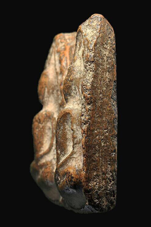 พระขุนแผนพลายคู่ กรุบ้านกร่าง จ.สุพรรณบุรี พิมพ์หน้ากลม มีหน้าตา เนื้อดิน ไม่มีซ่อม สภาพสวย สมบูรณ์ค