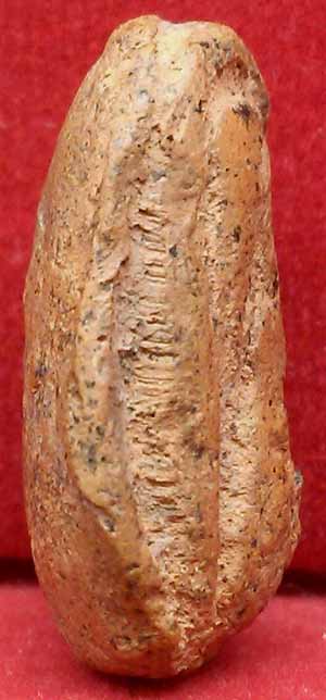 *พระรอด ดินเผา กรุวัดโปรดเกษฯ นนทบุรี*