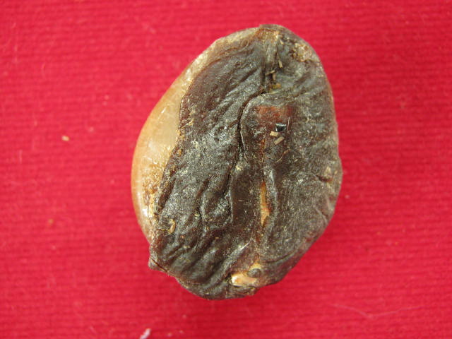 เบี้ยแก้ หลวงพ่อเกษม ปี38 จ.ลำปาง กล่อง เดิม ...B2