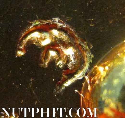 *เหรียญอาร์มนะหน้าทอง หลวงพ่อเกษม เขมโก สุสานไตรลักษณ์ลำปาง*151