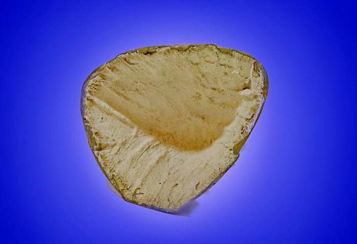 หลวงพ่อขาว วัดนครโปรดสัตว์ บ้านแพรก อยุธยา 