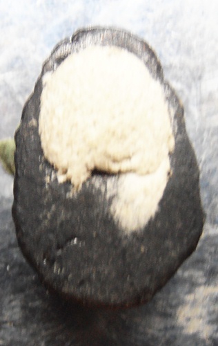 พระผงศรีวิชัย หลังแป้งเจิมสวยๆครับ