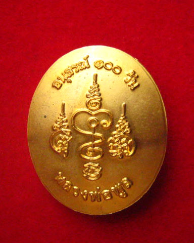 เหรียญหลวงพ่อพูล วัดไผ่ล้อม นครปฐม รุ่นอนุสรณ์ 100 วัน ปี 2554 สวยครับ