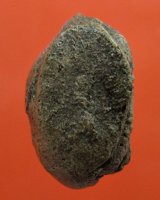 พระยอดขุนพล เนื้อดิน