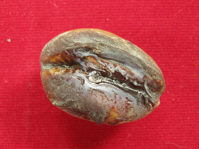 เบี้ยแก้ หลวงพ่อเกษม ปี38 จ.ลำปาง กล่อง เดิม ...458