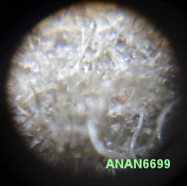   กล้องจุลทัศน์ microscope zoom 60x-100x Zoom Zoom .เคาะเดีย ว 