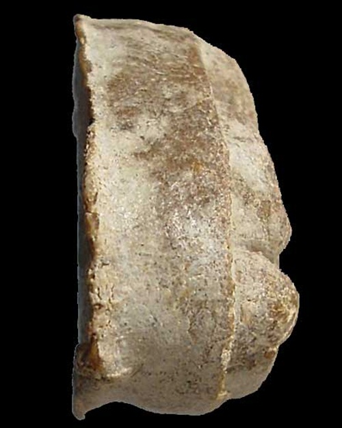 พระปิดตามหาเสน่ห์ หลังยันต์พุทโธ เนื้อเกสร วัดลาดปลาเค้า หลว งปู่โต๊ะปลุกเสก ปี 2521 คัดสวย