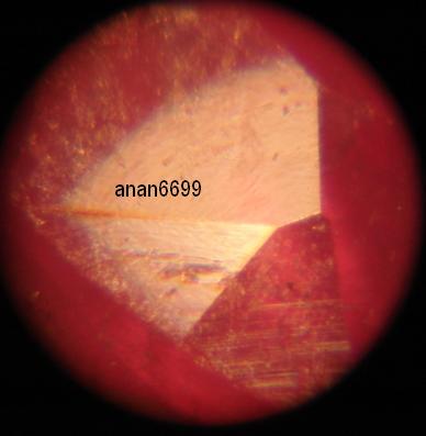 กล้องจุลทัศน์ microscope zoom 60x-100x Zoom Zoom .เคาะเดีย ว  