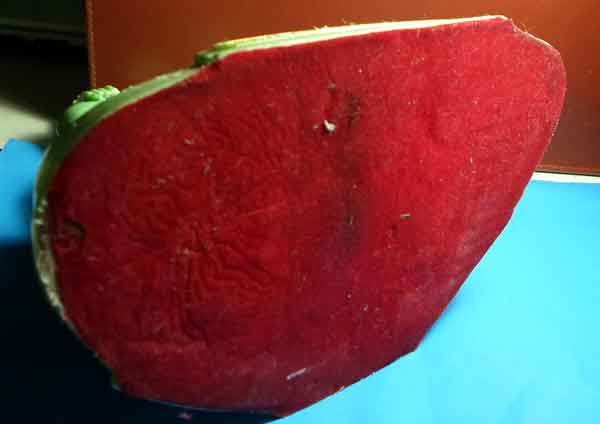 พระบูชา  หลวงพ่อเขียว  วัดหัวคู้  ลาดกระบัง