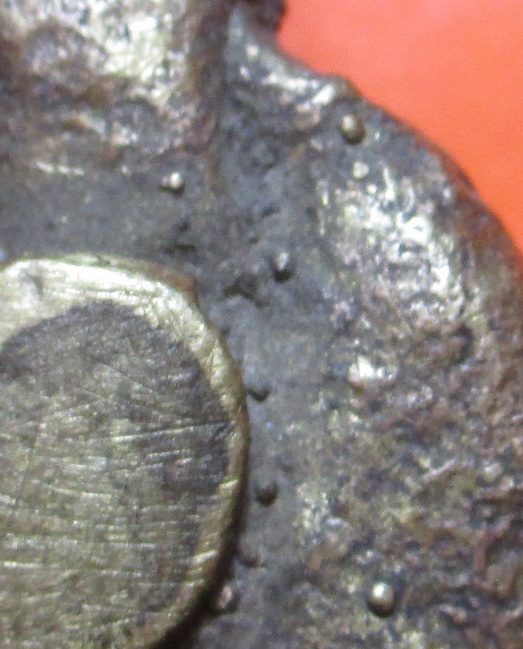 พญาเต่าเรือน เนื้อทองผสม เก่า แท้ ไม่ทราบที่