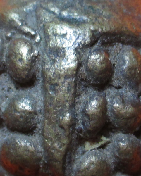 พญาเต่าเรือน เนื้อทองผสม เก่า แท้ ไม่ทราบที่