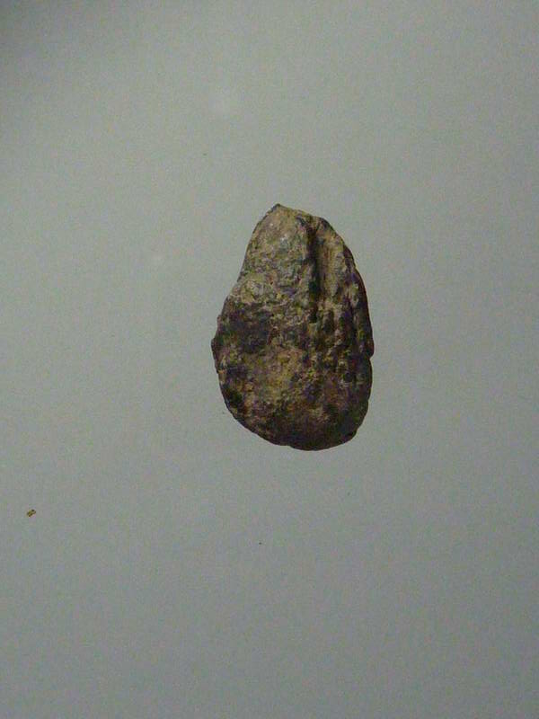 พระเม็ดน้อยหน่า หลังไม่มียันต์ เนื้อดิน