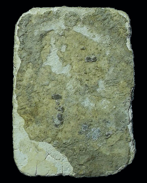 พระกรุวัดคู้สลอด ทรงเม่นมังกร จ.อยุธยา