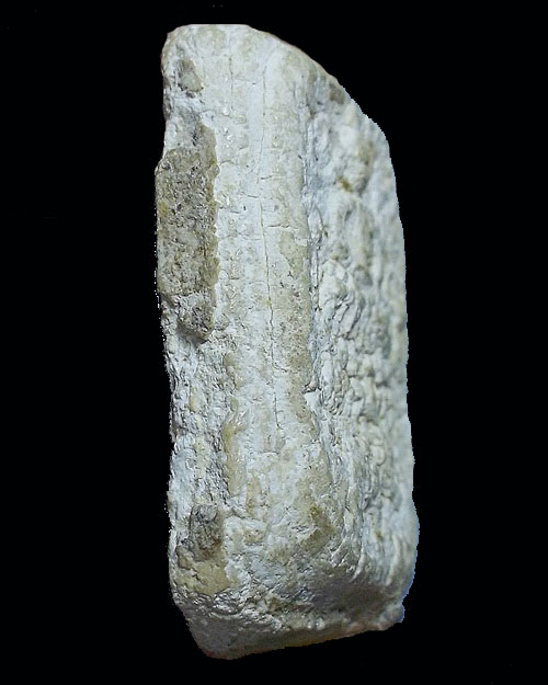 พระกรุวัดคู้สลอด ทรงเม่นมังกร จ.อยุธยา