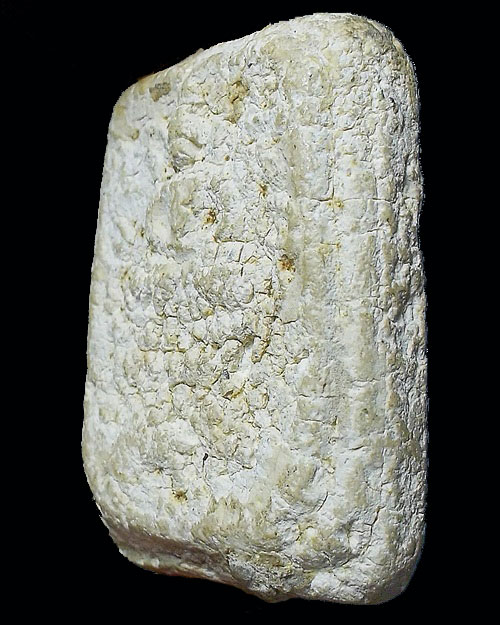 พระกรุวัดคู้สลอด ทรงเม่นมังกร จ.อยุธยา