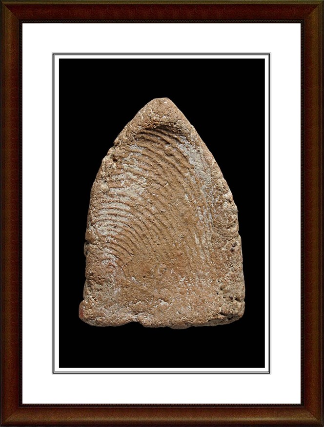 พระเชตุพนหน้าโหนก สุโขทัย สวยแชมป์