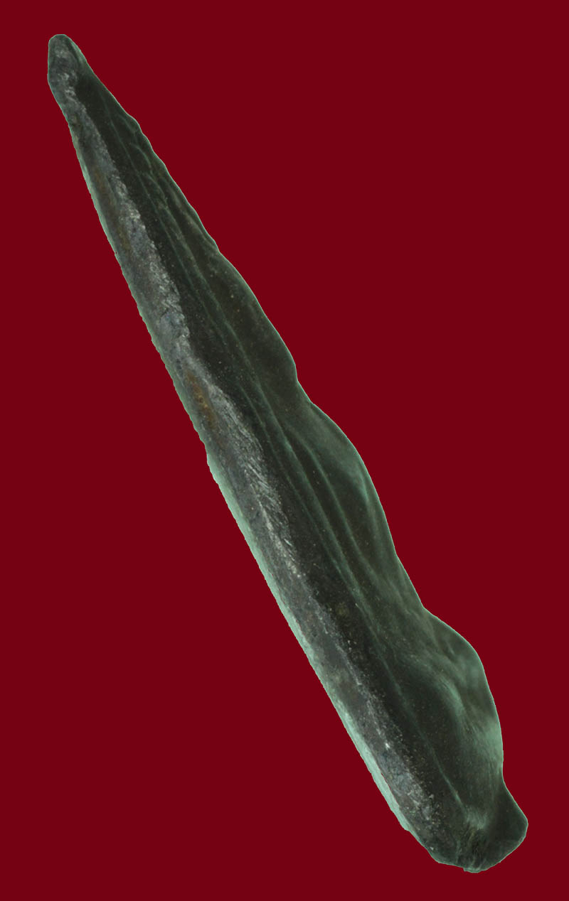 เหรียญพระพุทธชินราช หลวงพ่อเงิน วัดดอนยายหอม เนื้อเมฆพัด