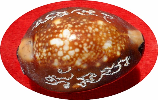 ***เบี้ยแก้ อุดผงพรายกุมารคลุกรักชันโรง พิธีในโบสถ์วัดละหารไร่ ลป.บัวร่วมปลุกเสก # ๑๐๓๐