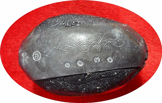 ***เบี้ยแก้ อุดผงพรายกุมารคลุกรักชันโรง พิธีในโบสถ์วัดละหารไร่ ลป.บัวร่วมปลุกเสก # ๑๐๓๐