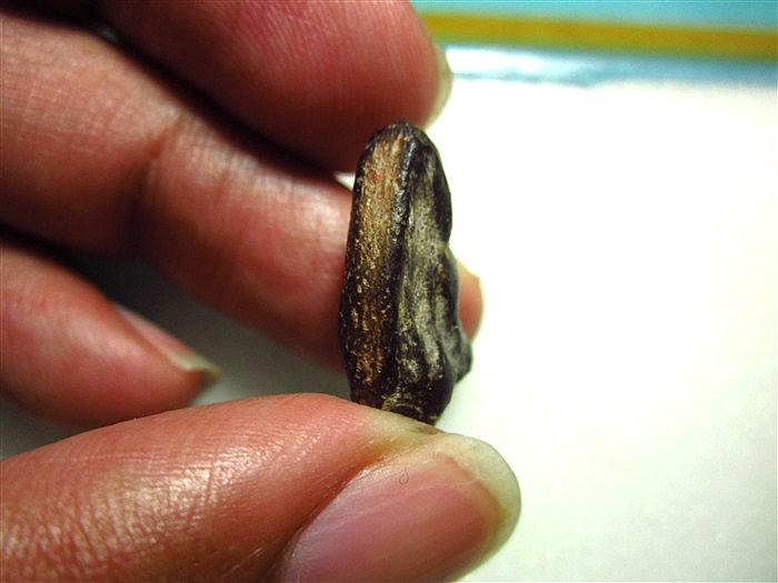 นางขนนกเนื้อดำกรุเตาทุเรียง สุโขทัย 