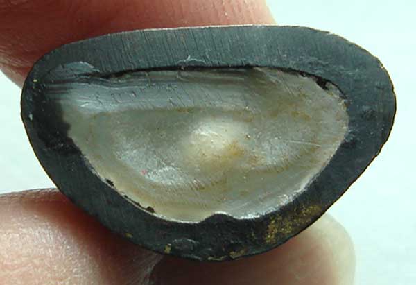 พระพุทธศักดิ์สิทธิ์ หลวงปู่คำพันธ์ รุ่นปฐวีธาติ วัดธาตุมหาชัย จ.นครพนม ปี36 ก้นอุดเทียนชัย