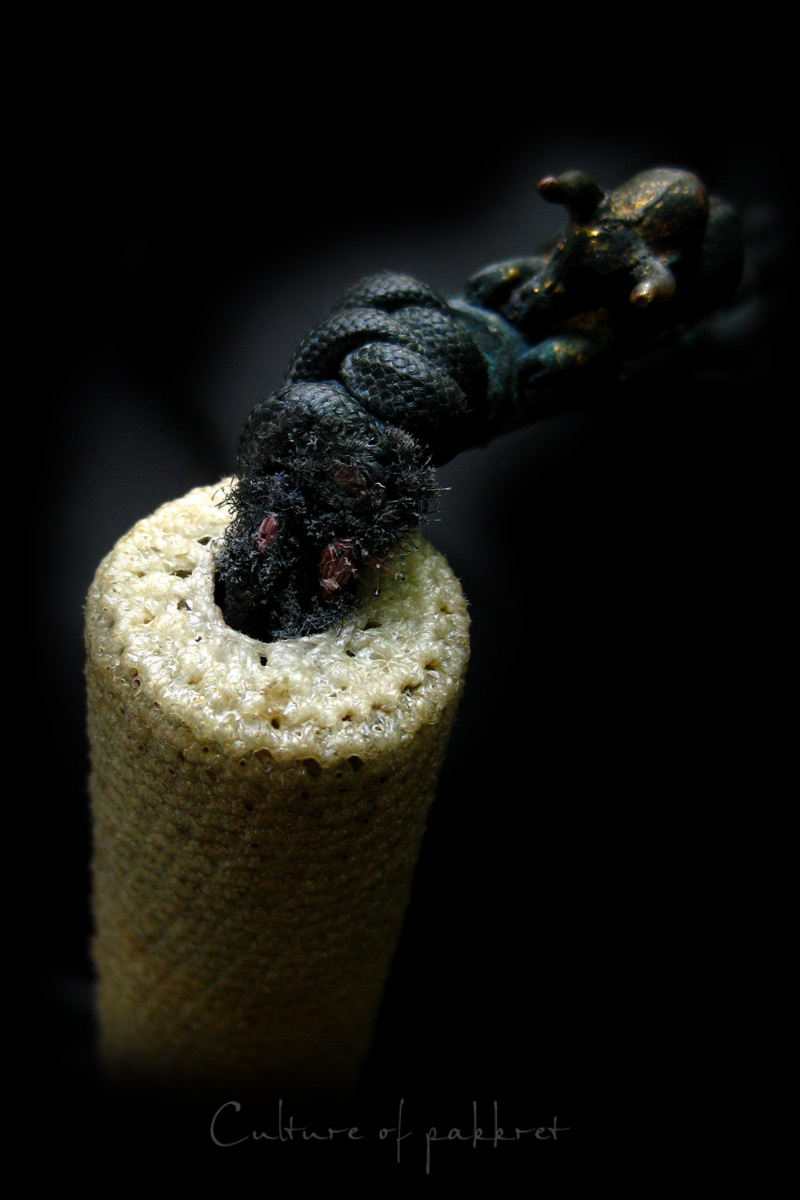 ตะกรุดหลวงพ่อเปิ่น วัดบางพระ (760)